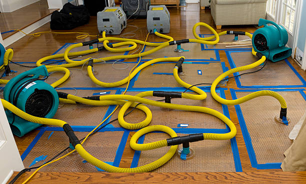 Professional Sewage Cleanup technician working in Bristol, RI